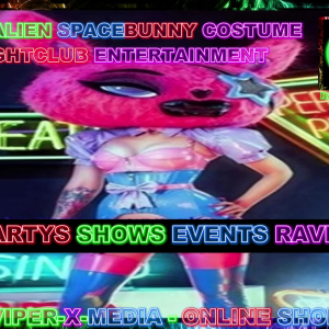 Adult Entertainment Costumes